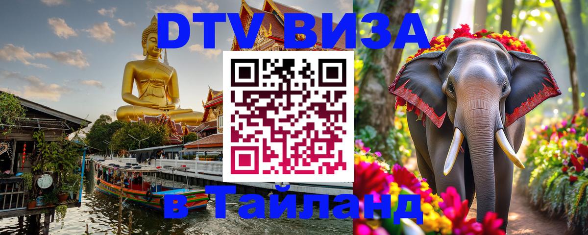 Сколько стоит DTV виза — актуальные цены, оформление даже без документов - 19.11.2025 